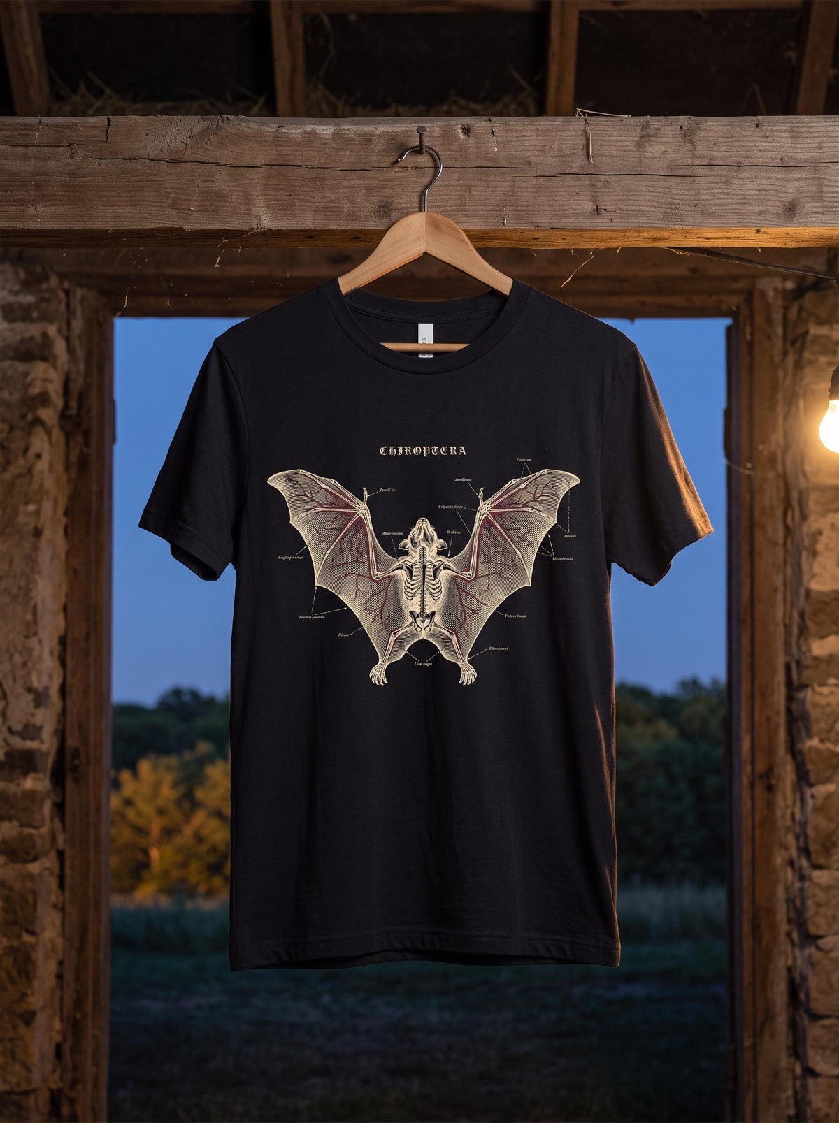 Anatomical Bat Shirt, Chiroptera Plate Tee, Gothic Bat T-Shirt, Vintage Science Bat Art, Nature Goth Halloween Gift