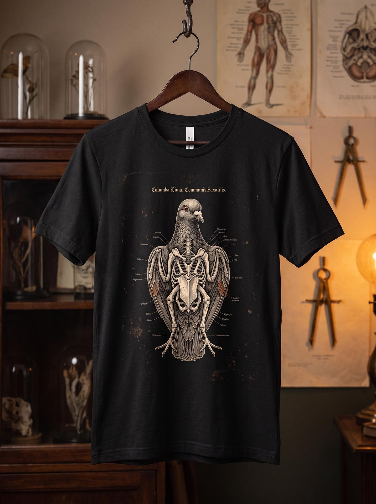 Pigeon Shirt, Rock Dove Anatomy Tee, Occult Naturalist Bird T-Shirt, Dark Academia Ornithology Gift